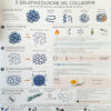 Carne a 360° - in CBT